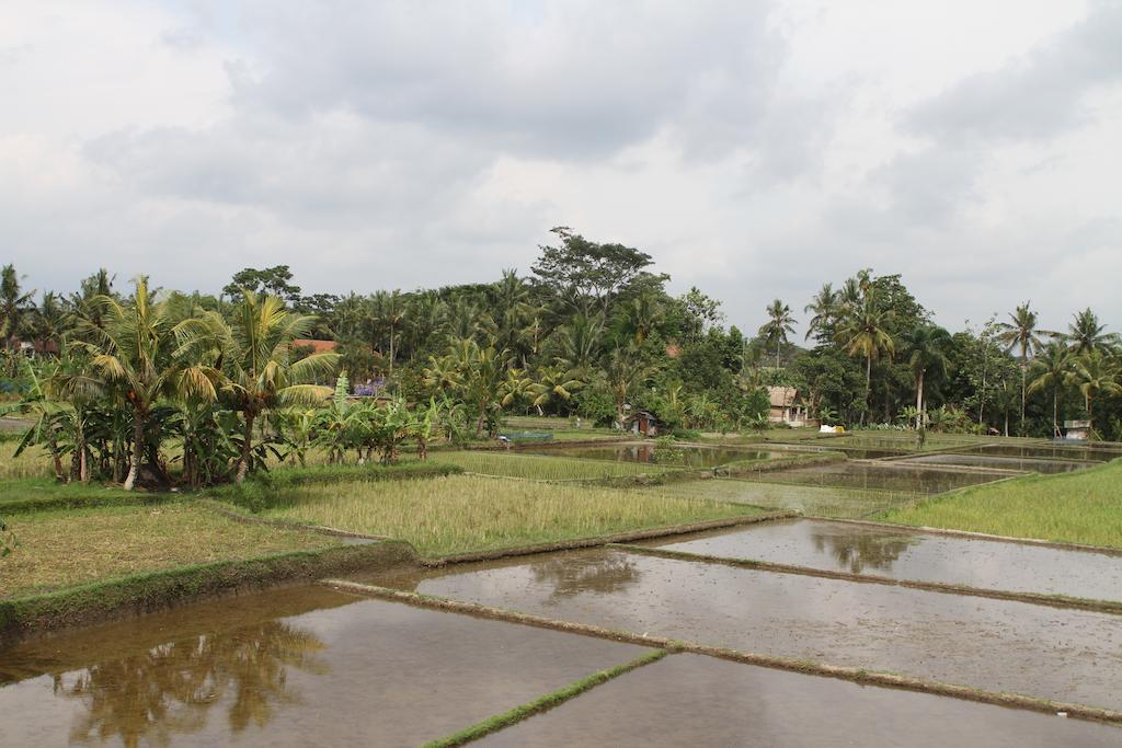 Villa Kami Ubud Luaran gambar