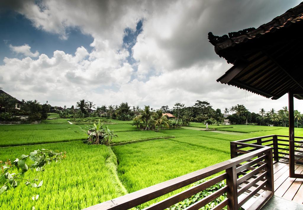 Villa Kami Ubud Luaran gambar